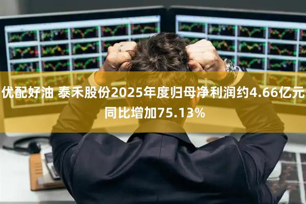 优配好油 泰禾股份2025年度归母净利润约4.66亿元 同比增加75.13%